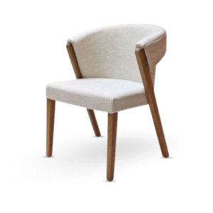Arlo Modern Accent Chair